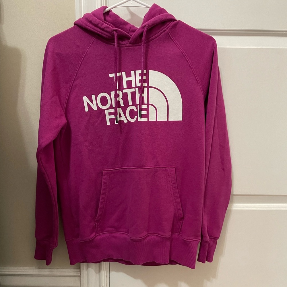 Hoodie the north face